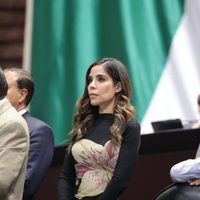 Diputada del PT señala ataques en su contra, tras sentencia que obliga a ciudadana a disculparse