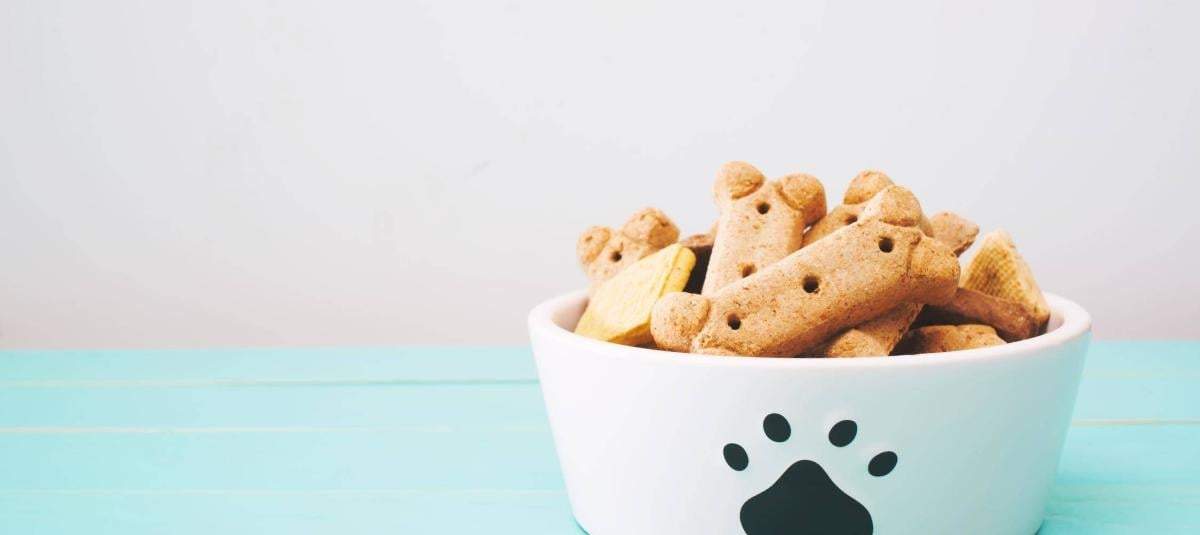 Galletas para perros. Fuente: (Instagram)