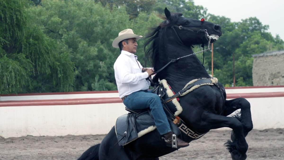 El exgobernador Jaime Rodríguez Calderón "El Bronco"