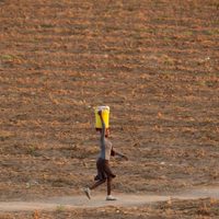 Cambio climático afecta más a explotaciones y hogares rurales dirigidos por mujeres: ONU