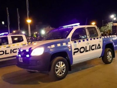 Detuvieron a tres hombres que transportaban animales muertos en Villa La Angostura