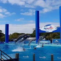 Aquarium Mar del Plata, a un año del cierre: qué pasará con los delfines y lobos marinos tras la quiebra