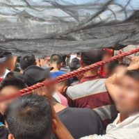 GN asegura a 243 migrantes centroamericanos en Chiapas