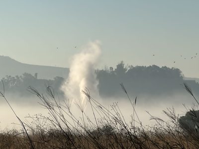 Evacuan a más de 2 mil habitantes por fuga en ducto de Pemex en Tonalá