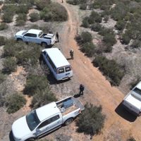 Una oreja lleva al hallazgo de una fosa con cinco cuerpos en Bahía de Los Ángeles, BC