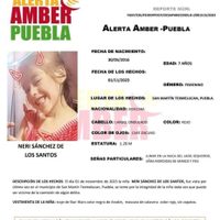 Papás mataron a la niña Neri, reportada como desaparecida en Puebla, confirma la Fiscalía