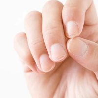 Hacelo en casa: el mejor remedio para conseguir uñas fuertes y súper largas en solo semanas