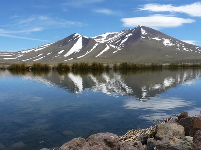 El Tromen: un viaje al corazón del norte neuquino entre volcanes, lagunas y aves