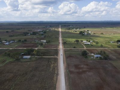 Comunidad menonita se compromete a detener deforestación en la selva maya campechana