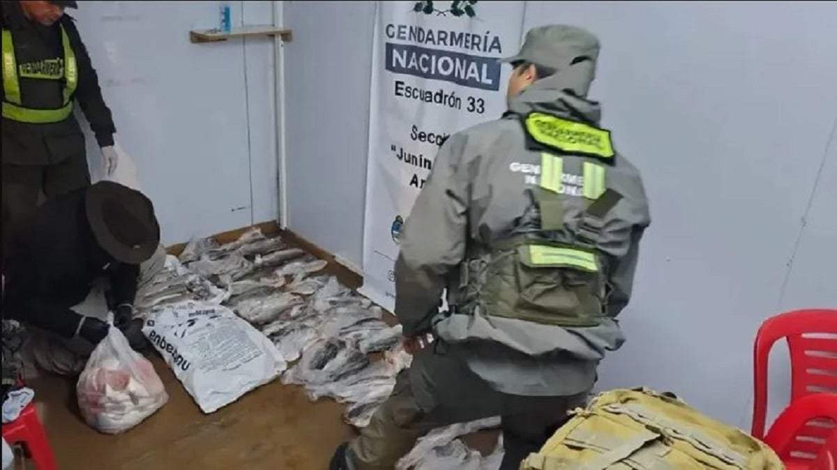 Efectivos de Gendarmería junto a los ejemplares secuestrados a pescadores furtivos. Fuente: (RSM)