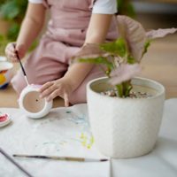 Decorá con dos pesos: con cartón y un poco de hilo, llevá a otro nivel las macetas de tus plantas y dejalas hermosas