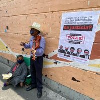 Consulta popular, "una parodia al Estado de derecho": The Economist