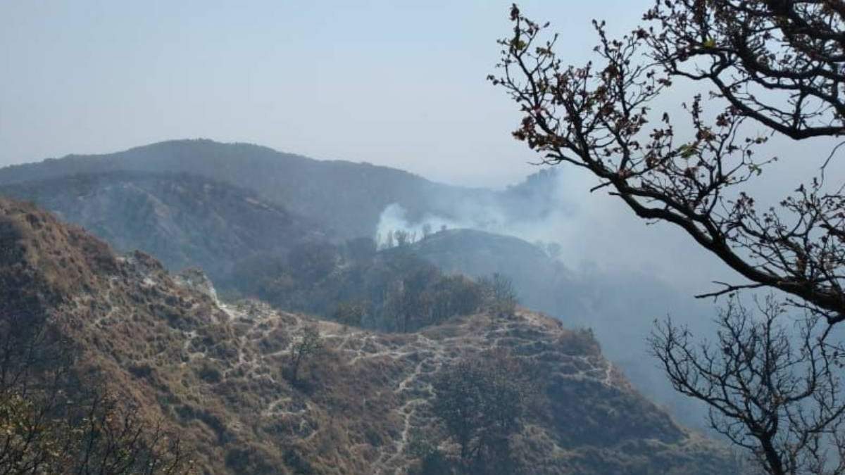 El incendio dentro del área protegida del bosque de La Primavera
