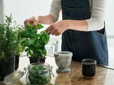 Métodos caseros y eficaces para eliminar las mosquitas de la cocina