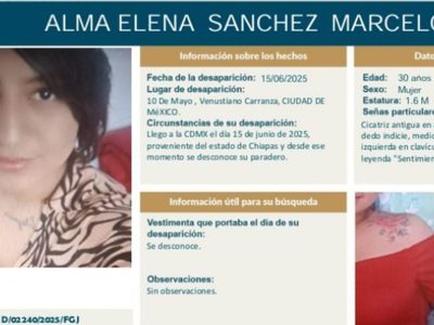 Hallan el cuerpo de Alma Sánchez enmurallada en construcción de CDMX