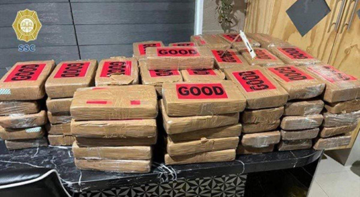 Droga decomisada en tres cateos en la Ciudad de México