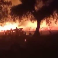 Incendio en zona arqueológica de Teotihuacán: esto es lo que se sabe