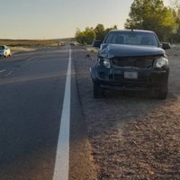 Dos vehículos chocaron con un caballo que andaba suelto sobre la ruta 237 a la altura de El Chocón