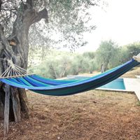 Cinco árboles ideales para jardines pequeños