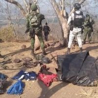 Desmantelan narcocampamento en El limoncito, en la región de Tierra Caliente