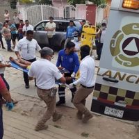 Pitbull casi le arranca un brazo a presunto ladrón; exigen no sacrificar al "héroe de Copoya