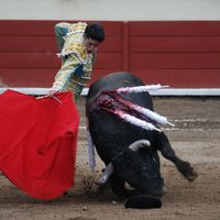Cotija, Michoacán, otra alcaldía que prohíbe las corridas de toros