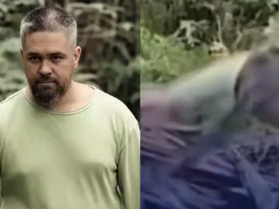 Creador de contenido es brutalmente mordido por una serpiente en la cabeza | VIDEO