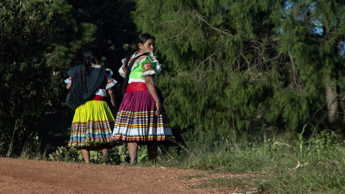 En el caso de los perpetradores, la gran mayoría son las parejas de las víctimas