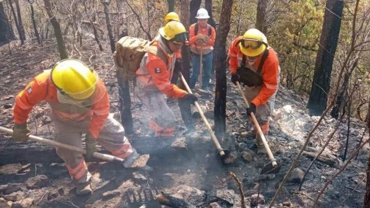 Uno de los incendios en el estado