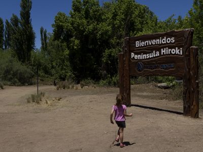 Colocaron cámaras térmicas para encontrar al puma en la Península Hiroki