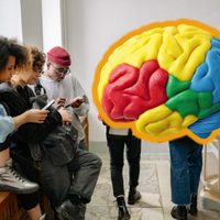La adolescencia cerebral se extiende hasta los 32 años, según estudio de Cambridge