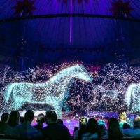 Un circo alemán usa hologramas de animales