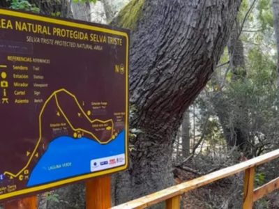 Denunciaron la desaparición de 10 millones de pesos destinados a la reserva Selva Triste
