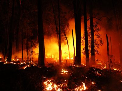 El Frente de Todos presentó un proyecto de protección del ecosistema