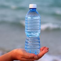 Con una botella y un envase plástico creá este bebedero para que tu jardín se llene de pájaros en primavera