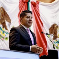 Diputado de Morena busca modificar ley y quitar al PRI sus colores