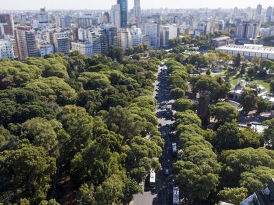 Distinguen a la Ciudad de Buenos Aires por el buen cuidado de sus árboles