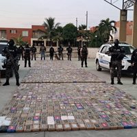 Ecuador decomisa dos toneladas de cocaína en cajas de platano; su destino era Rusia