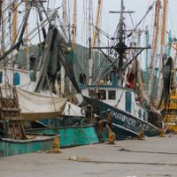 Narcopiratería en mares mexicanos
