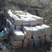 La PGR asegura más de 2.5 toneladas de mariguana en BC