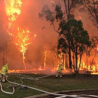Los incendios en Australia provocaron hasta ahora 20 muertes y la mayor evacuación de la historia
