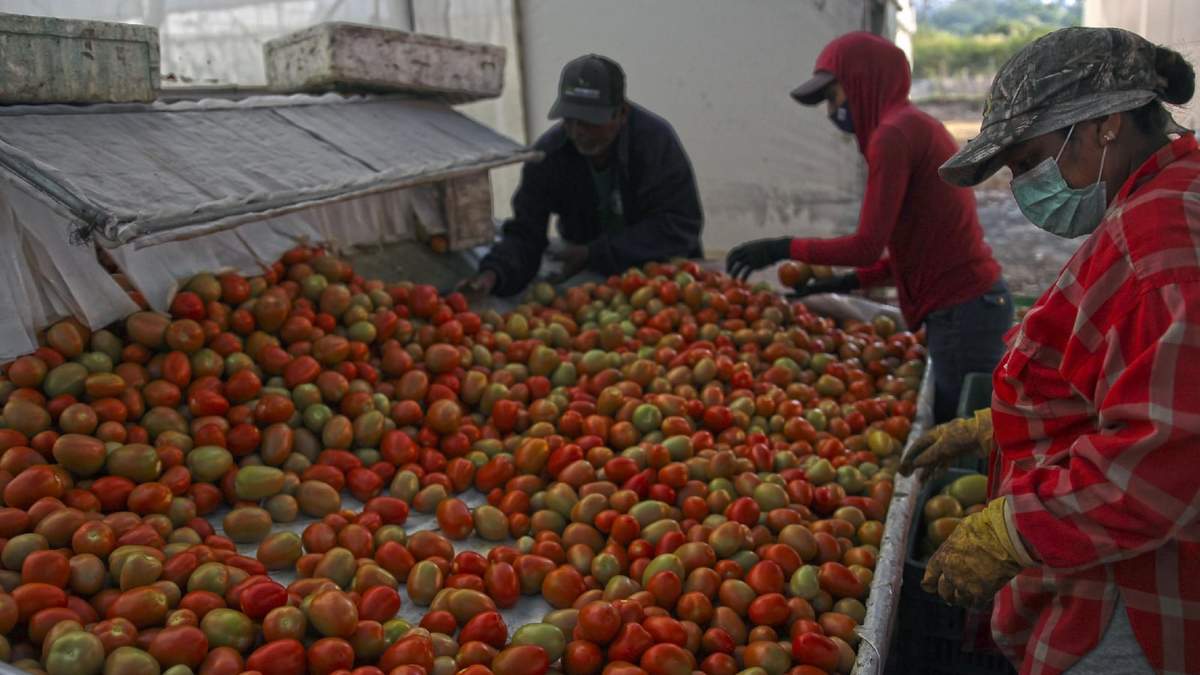 Más de seis millones de mexicanos, con menos de dos salarios mínimos