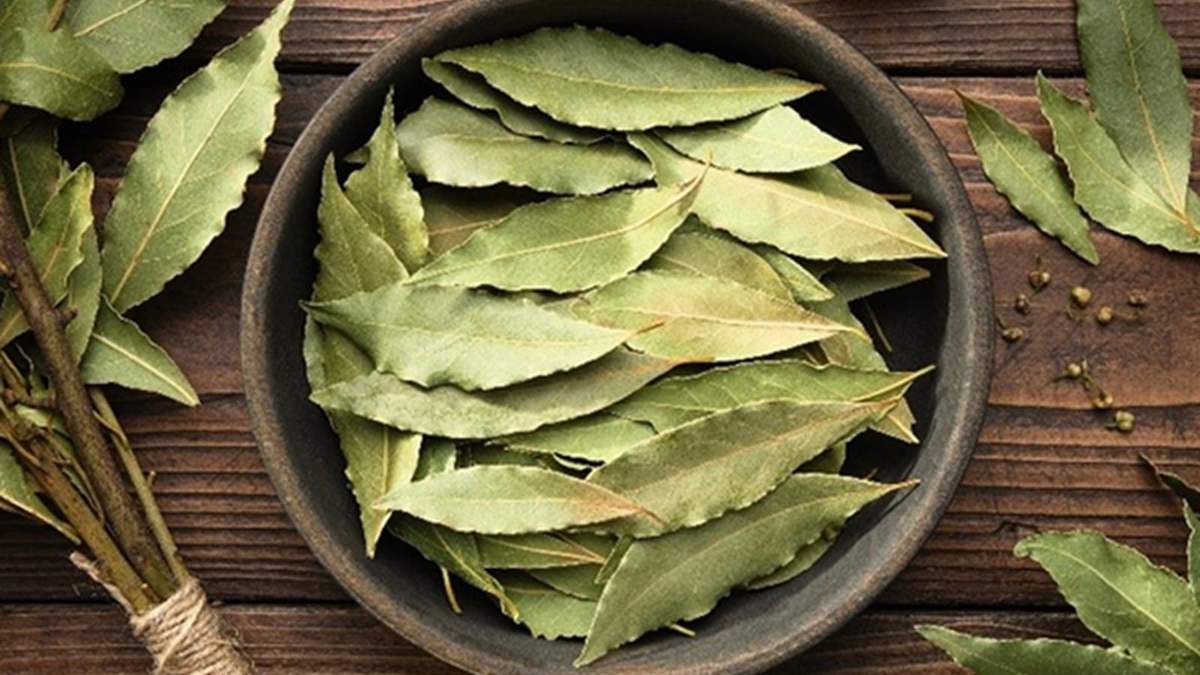 Hojas de laurel. Fuente: (Instagram)
