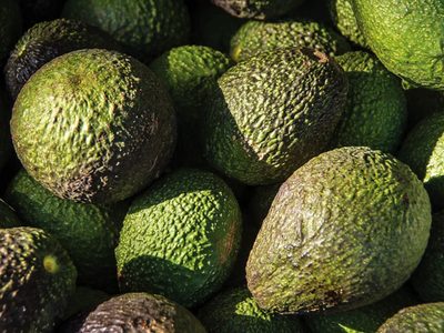 México vende más aguacate en 2023, pero obtiene menos ganancias que en 2022