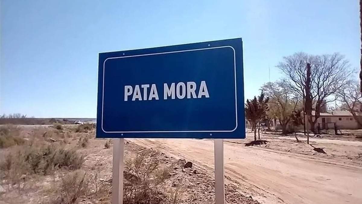 El Polo Logístico Pata Mora busca integrar servicios estratégicos para minería, hidrocarburos e infraestructura en el Sur mendocino