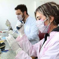 Desarrollaron una nueva vacuna contra la tos convulsa
