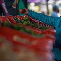 En ocho meses y con Sheinbaum, la economía mexicana muestra su menor crecimiento desde la pandemia