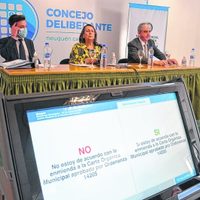 La Justicia avanza con el pedido de nulidad de la enmienda en Neuquén Capital