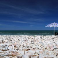 La playa caribeña de la Patagonia donde los lobos marinos dominan el paisaje