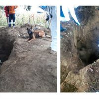 En fosas clandestinas hallan los cuerpos de siete personas que habían sido secuestradas en Puebla